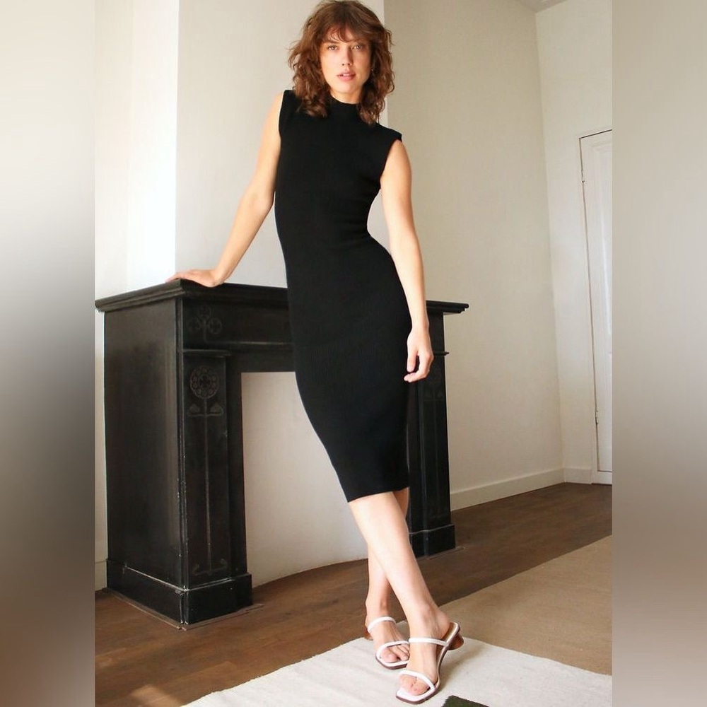 Wilfred Pinot dress from Aritzia 

Size small Black